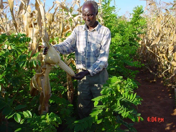 How to suck carbon out of the air and convert it into profits and jobs for poor farmers across the globe